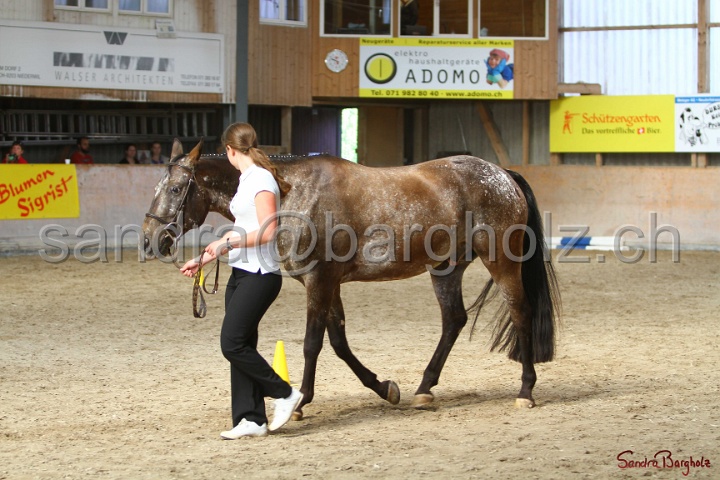 24-ApHC HIH_098.jpg